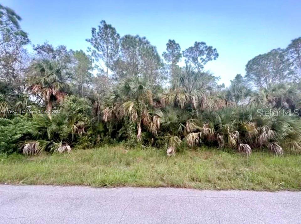 Lehigh Acres, FL 33972,614 Plumosa AV