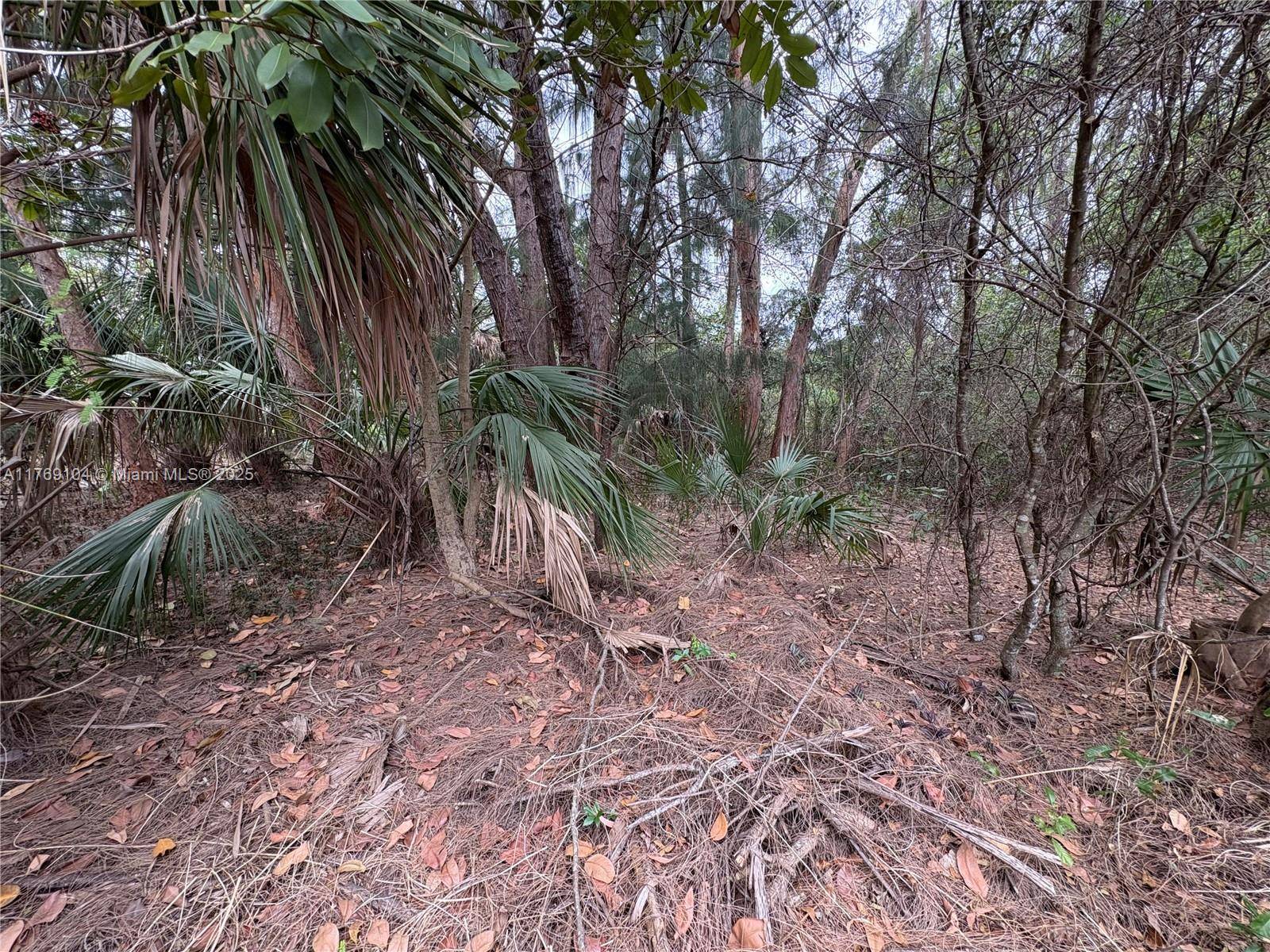 Coral Springs, FL 33065,30xx Forest Hills Dr