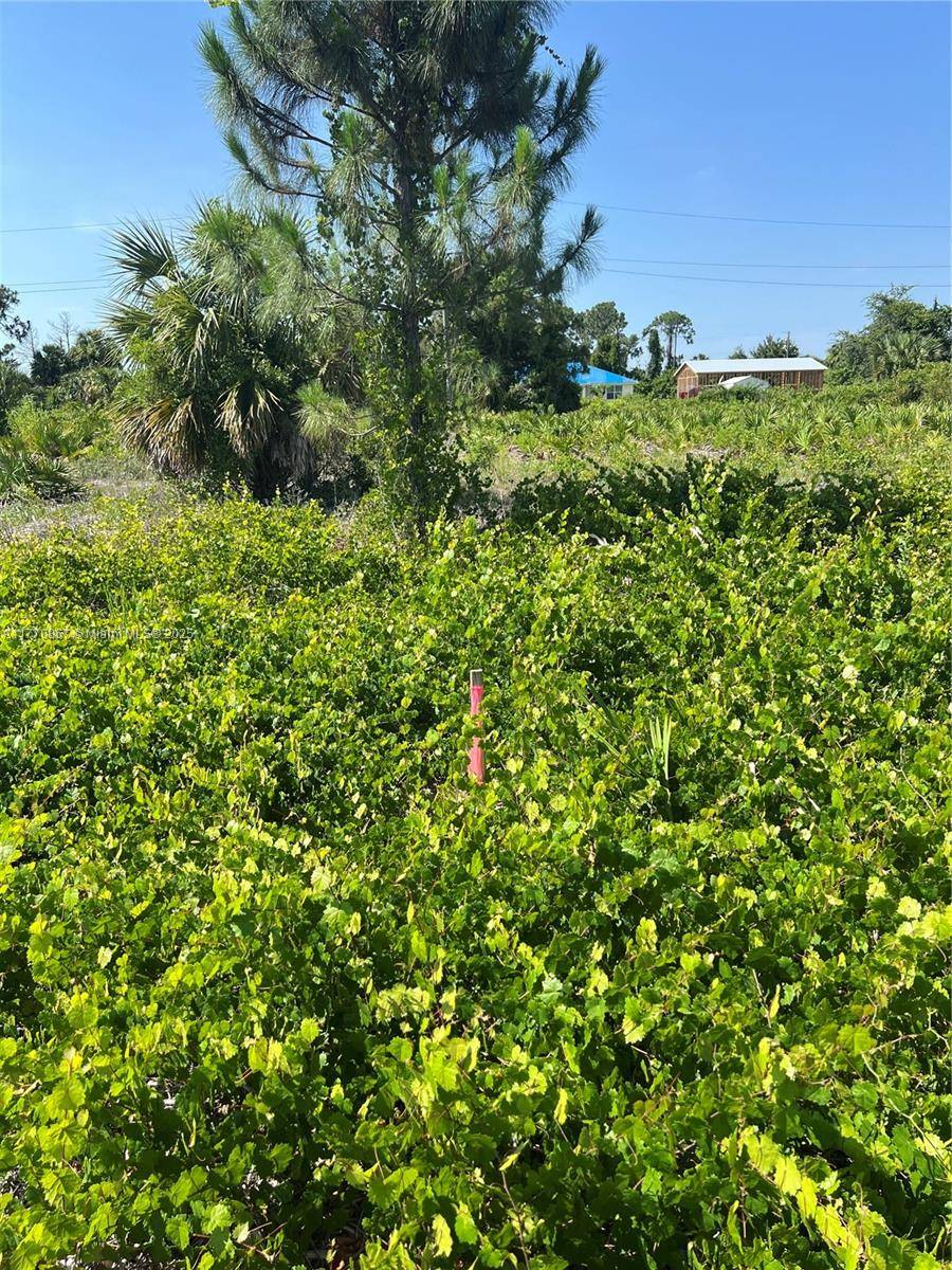 Lehigh Acres, FL 33971,3609 73rd st W