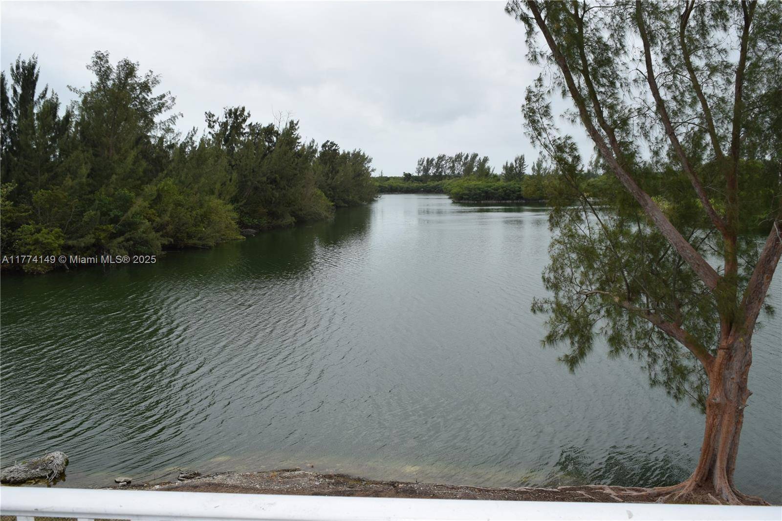 Cutler Bay, FL 33189,8240 SW 210th St #220