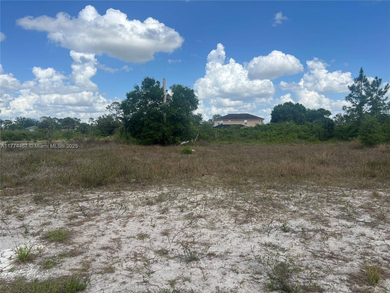 Lehigh Acres, FL 33972,1411 Hamilton