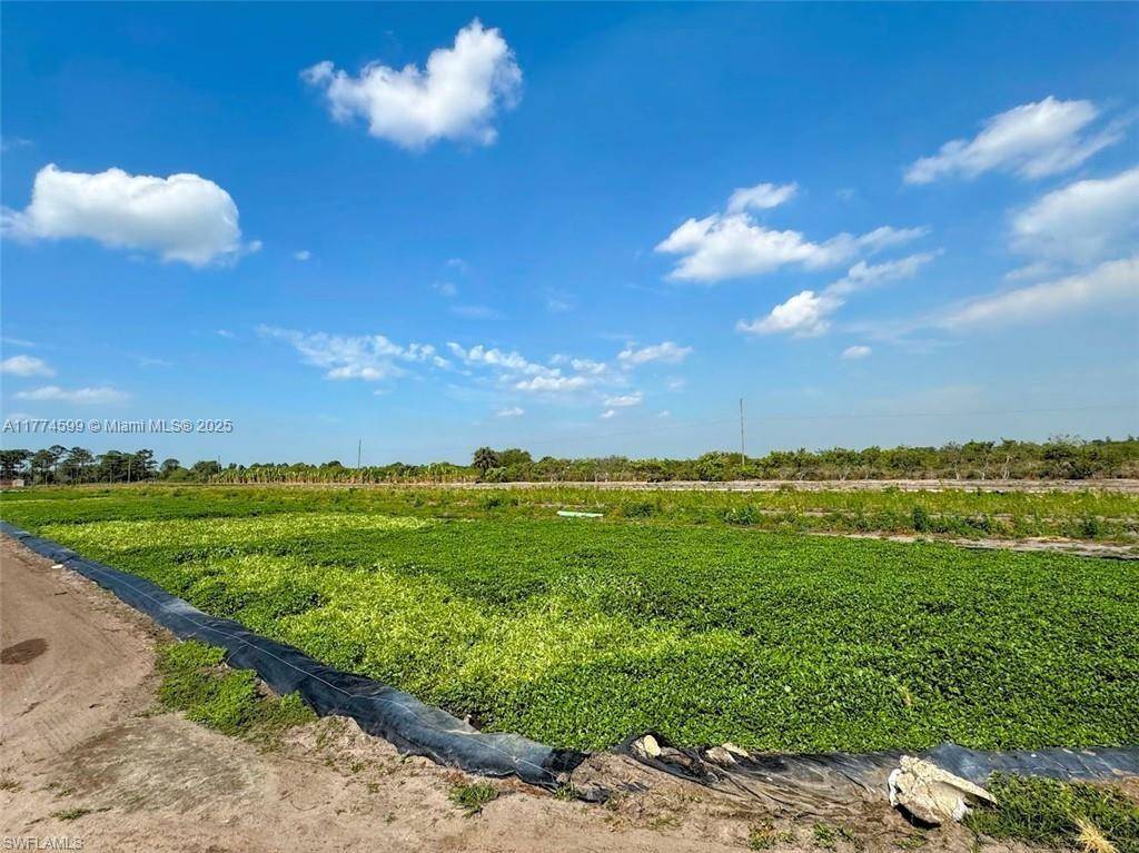 Clewiston, FL 33440,2521 Christopher Lane