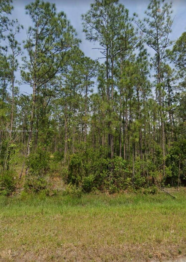 Sebring, FL 33872,6420 SW Balboa Blvd.