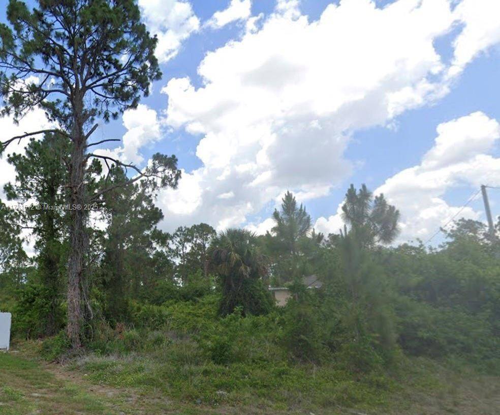Lehigh Acres, FL 33974,913 Kanuga ST