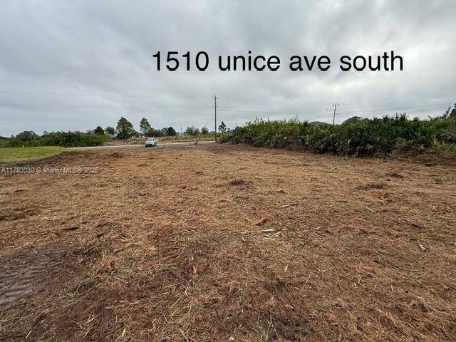 Lehigh Acres, FL 33976,1510 Unice AVE S