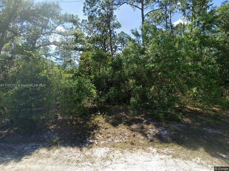 Lehigh Acres, FL 33972,1507 Palmetto Ave, Lehigh Acres