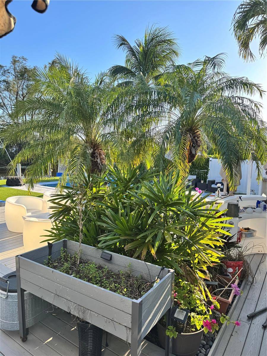 Dania Beach, FL 33004,911 NW 7th St #911