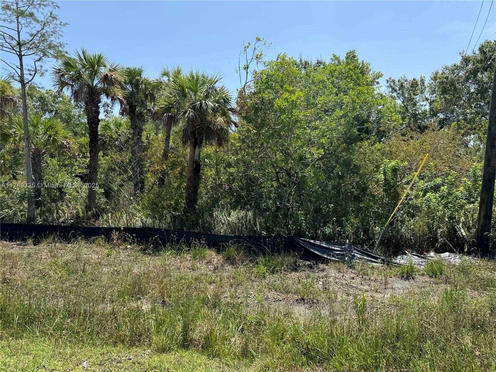 Naples, FL 341120,1180 16th St