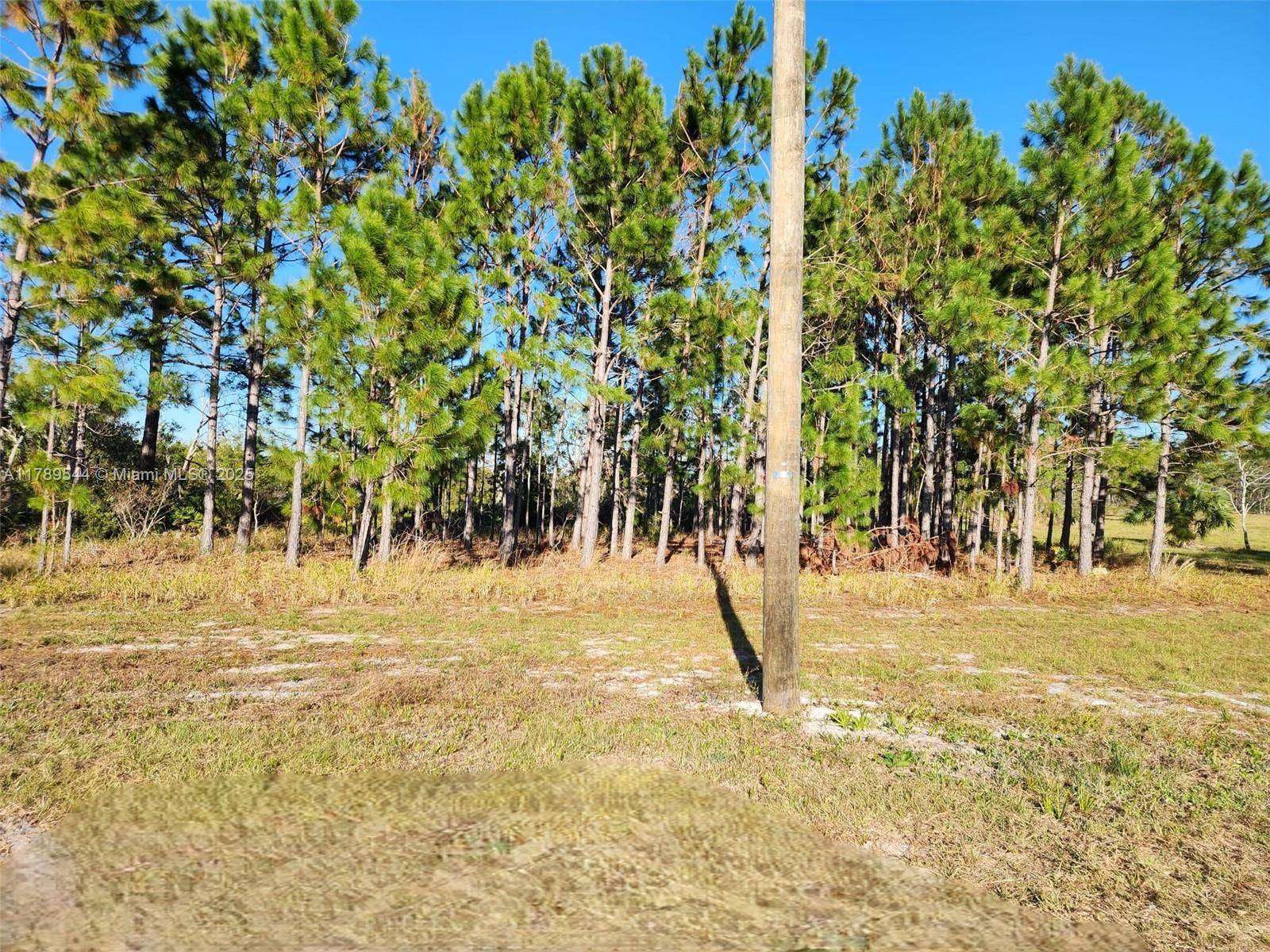 Other City - In The State Of Florida, FL 32348,Beach Rd