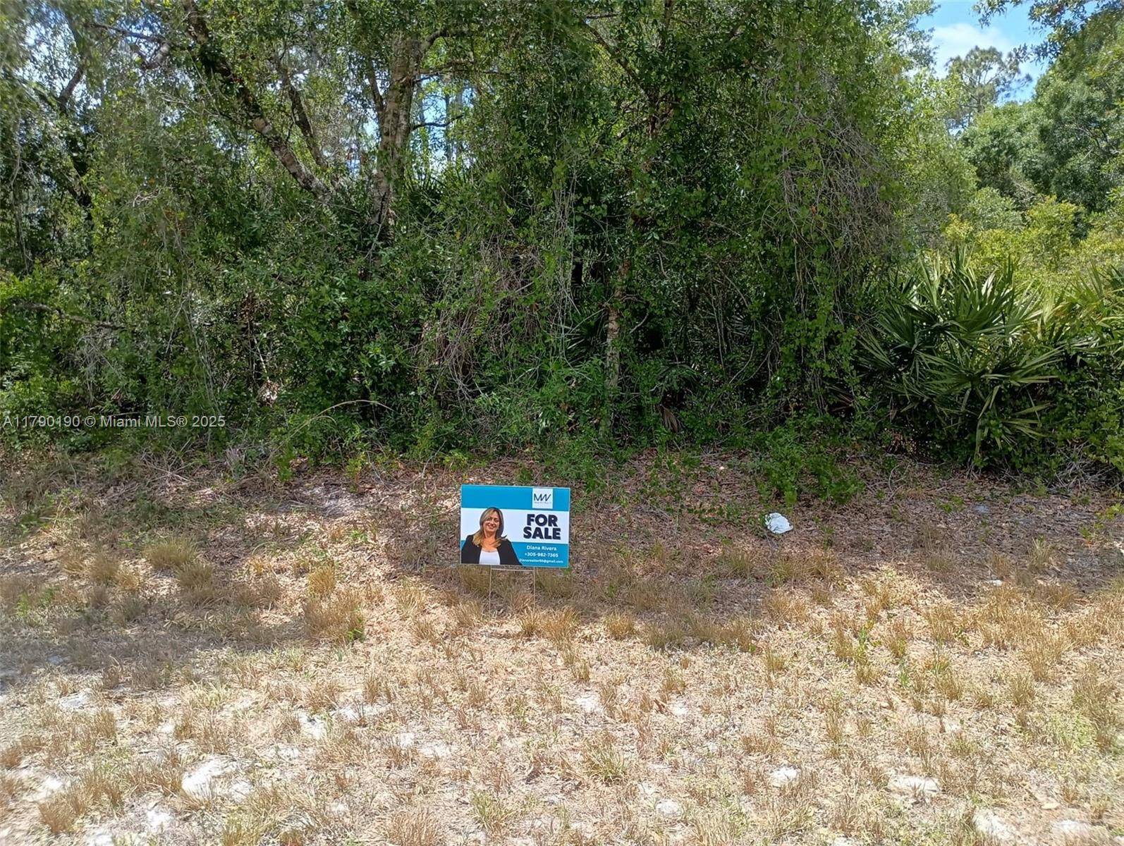 Clewiston, FL 33440,640 s shetland st