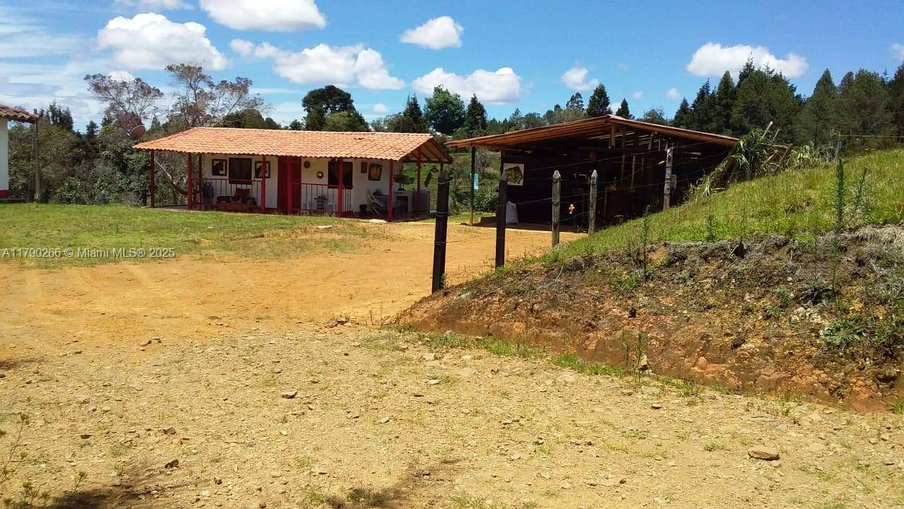 Other Country - Not In Usa, FL 054050,Guarne Vereda Brizuela
