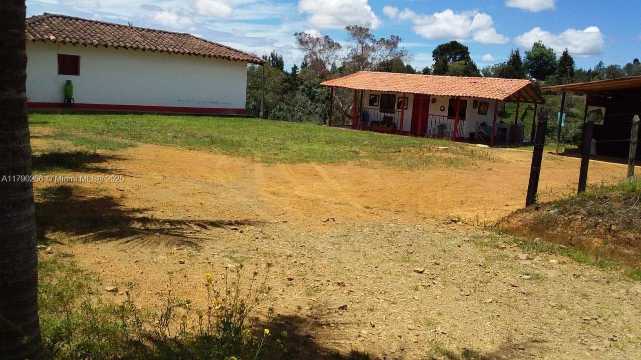 Other Country - Not In Usa, FL 054050,Guarne Vereda Brizuela