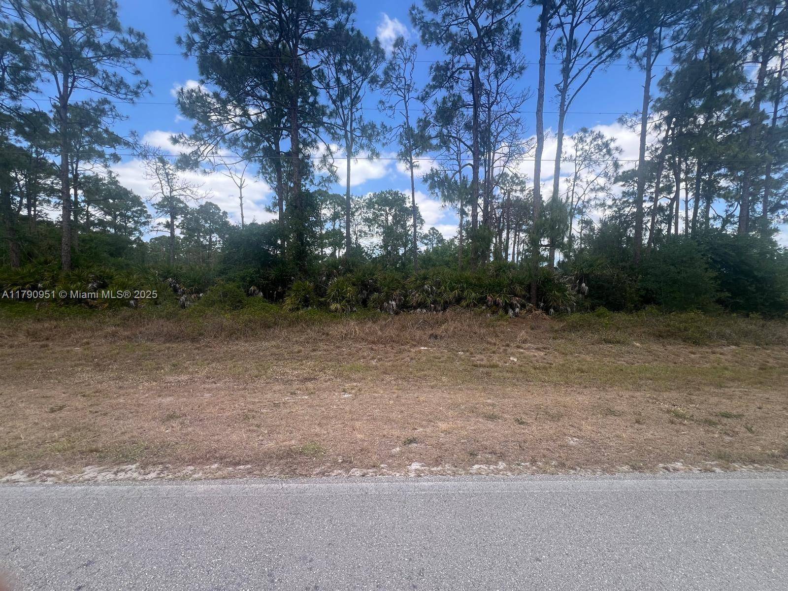 Clewiston, FL 33440,581 Appaloosa