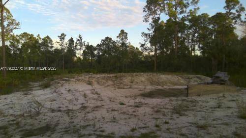 Lehigh Acres, FL 33972,412 LAKERIDGE BLV ,