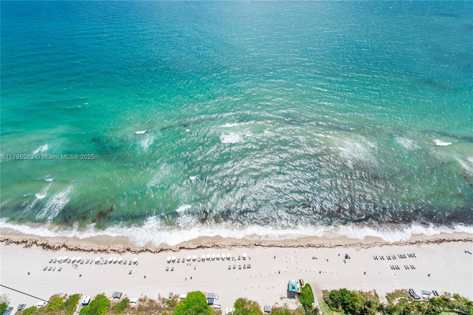 Sunny Isles Beach, FL 33160,15811 Collins Ave #3901