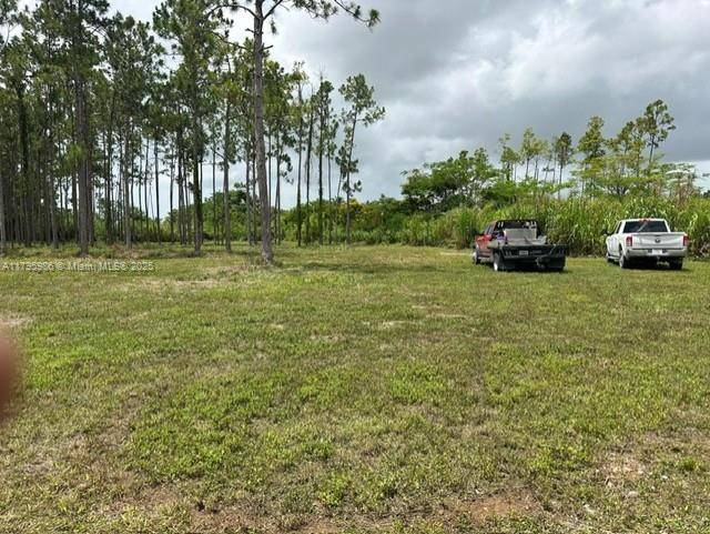 Homestead, FL 33034,197 SW 332 St
