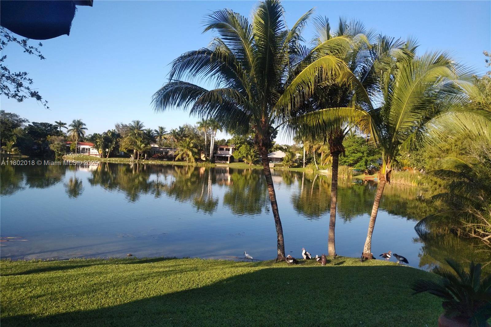Miami, FL 33155,6445 SW 52nd St