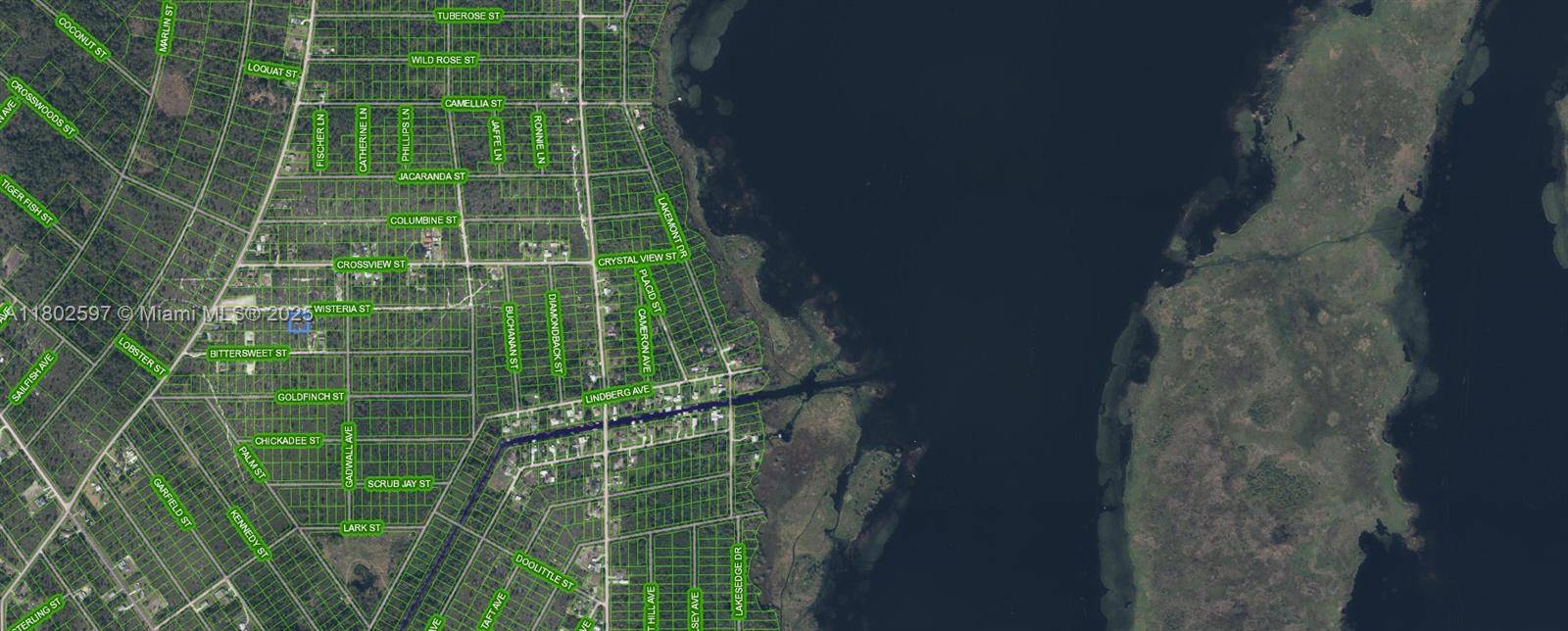 Lake Placid, FL 33852,1415 Wisteria Street