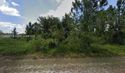 Lehigh Acres, FL 33972,1905 WELLS AVE