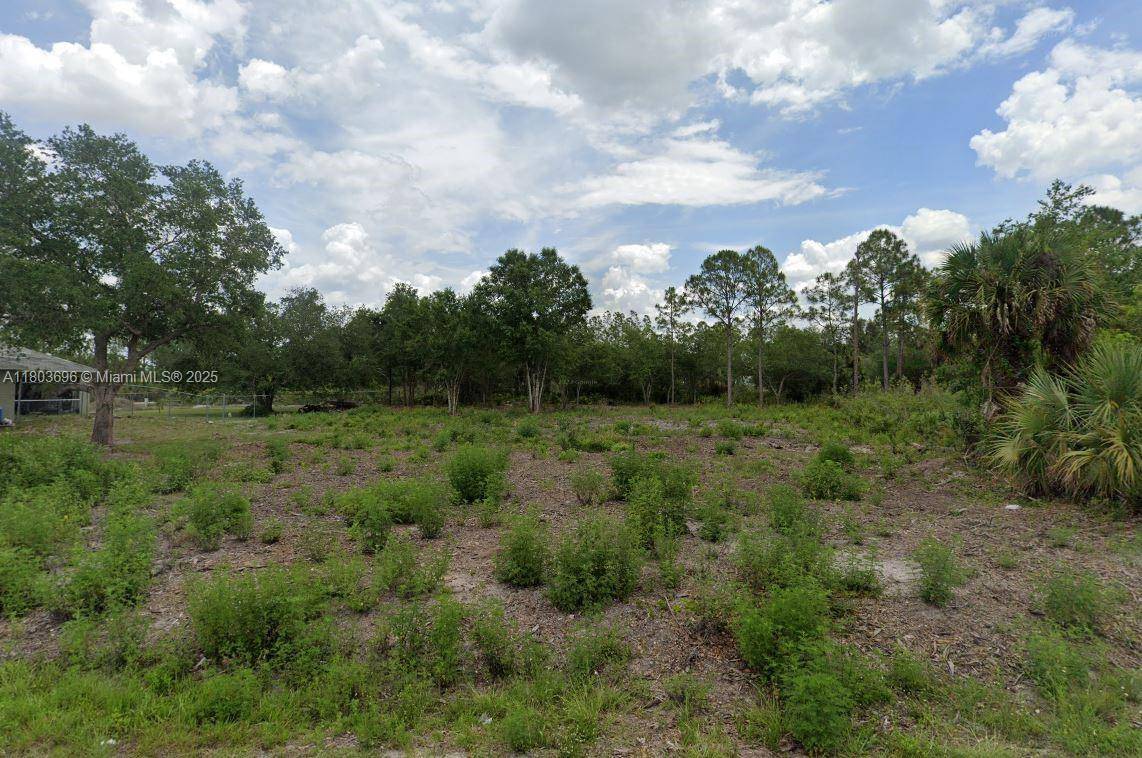 Lehigh Acres, FL 33936,1020 JAMES AVE