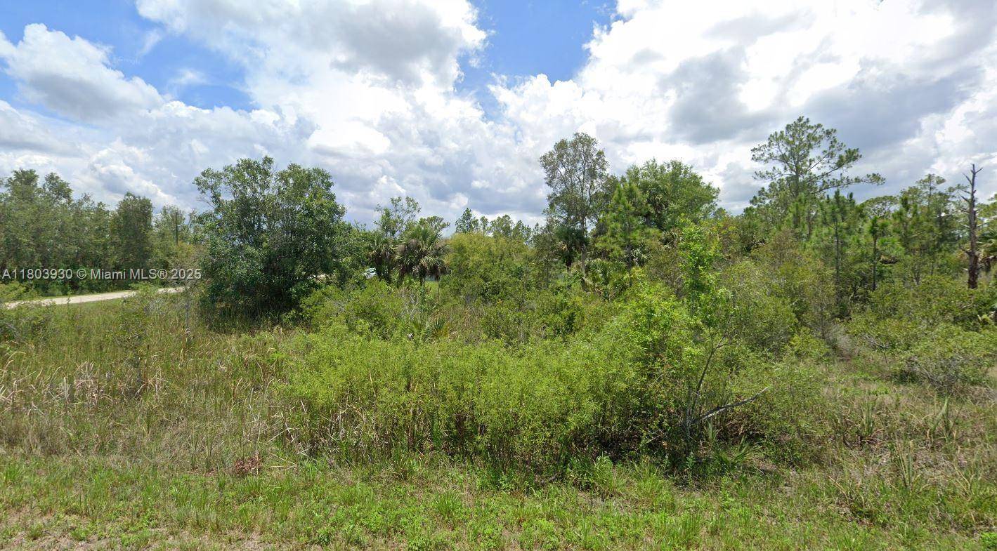 Lehigh Acres, FL 33972,1935 HOLYOKE AVE