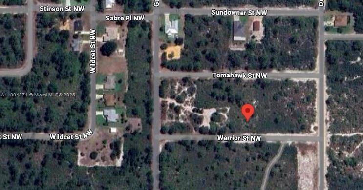 Lake Placid, FL 33852,217 Warrior St