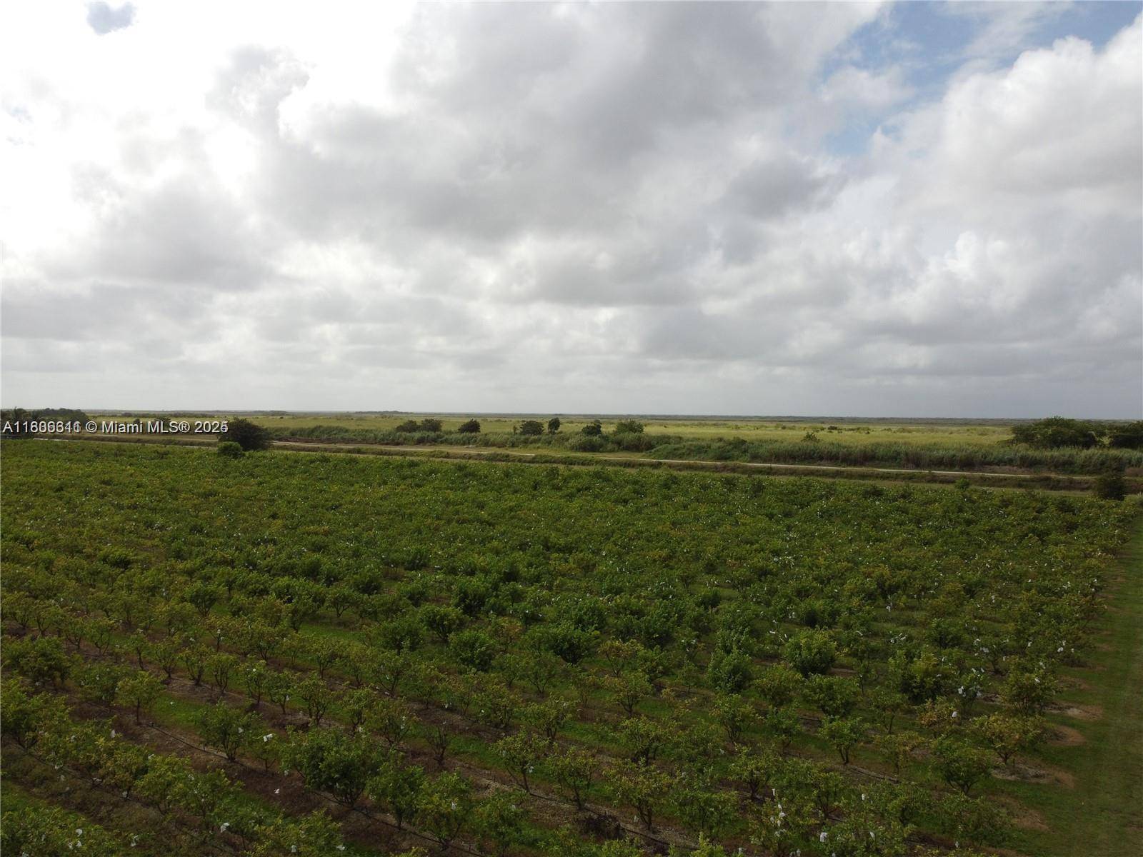Homestead, FL 33030,228xx SW 312 ST