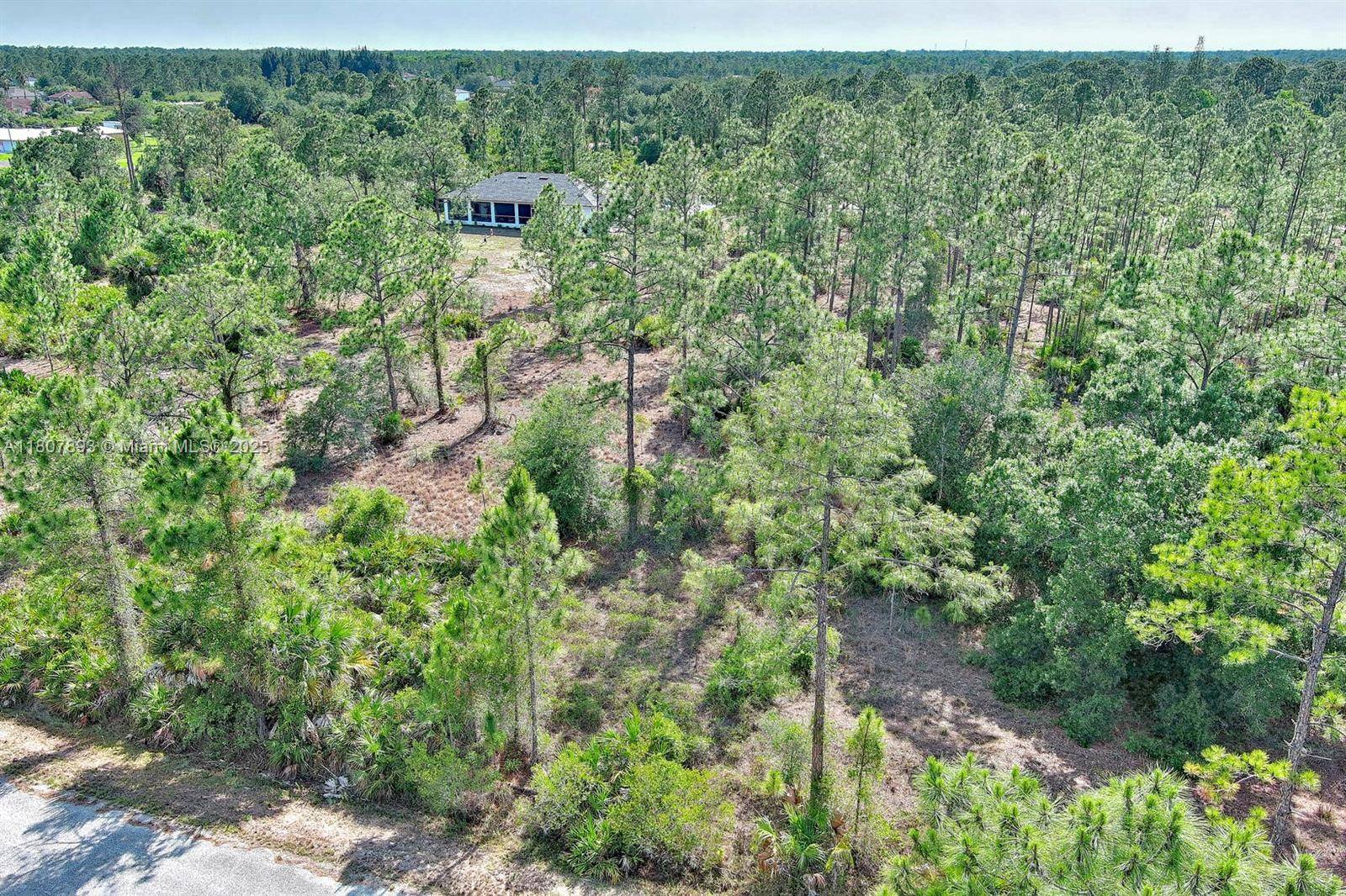 Lehigh Acres, FL 33936,317 Fitch Ave