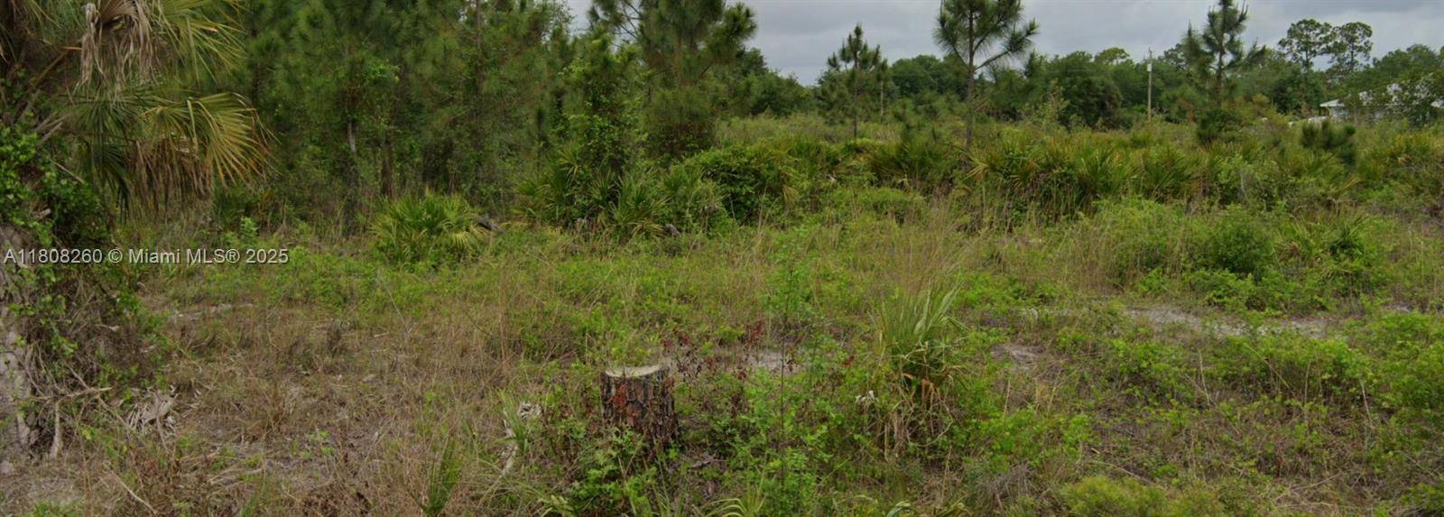 Lehigh Acres, FL 33972,No Address #5