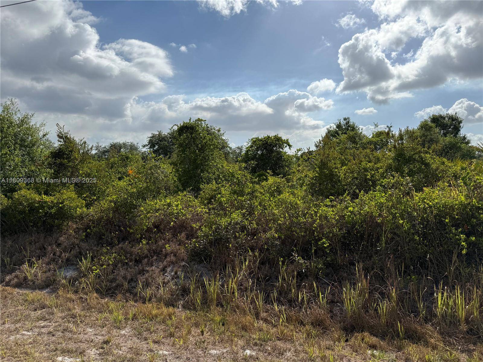 Clewiston, FL 33440,555 S LIVE OAK ST