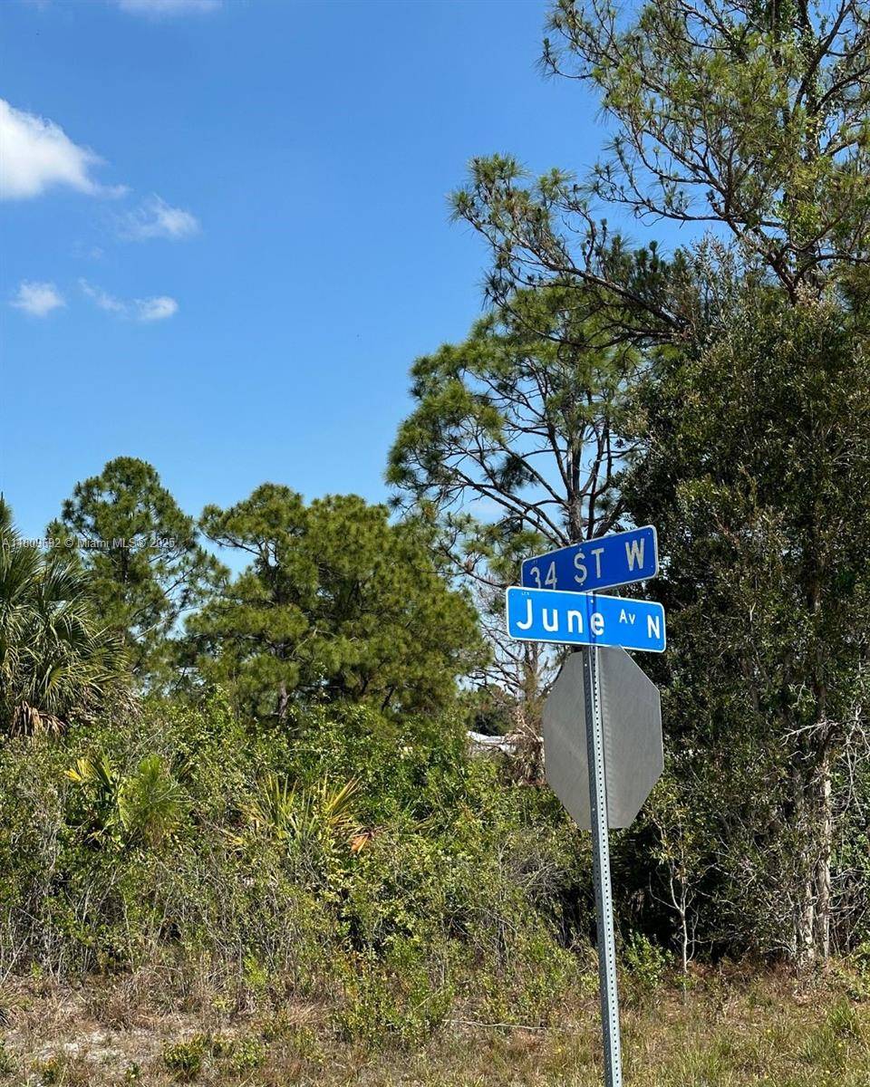 Lehigh Acres, FL 33971,3401 JUNE AVE N