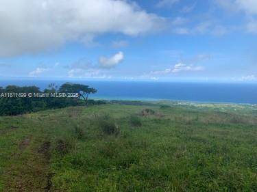 00 PRIME OCEANVIEW ST ANN, JAMAICA