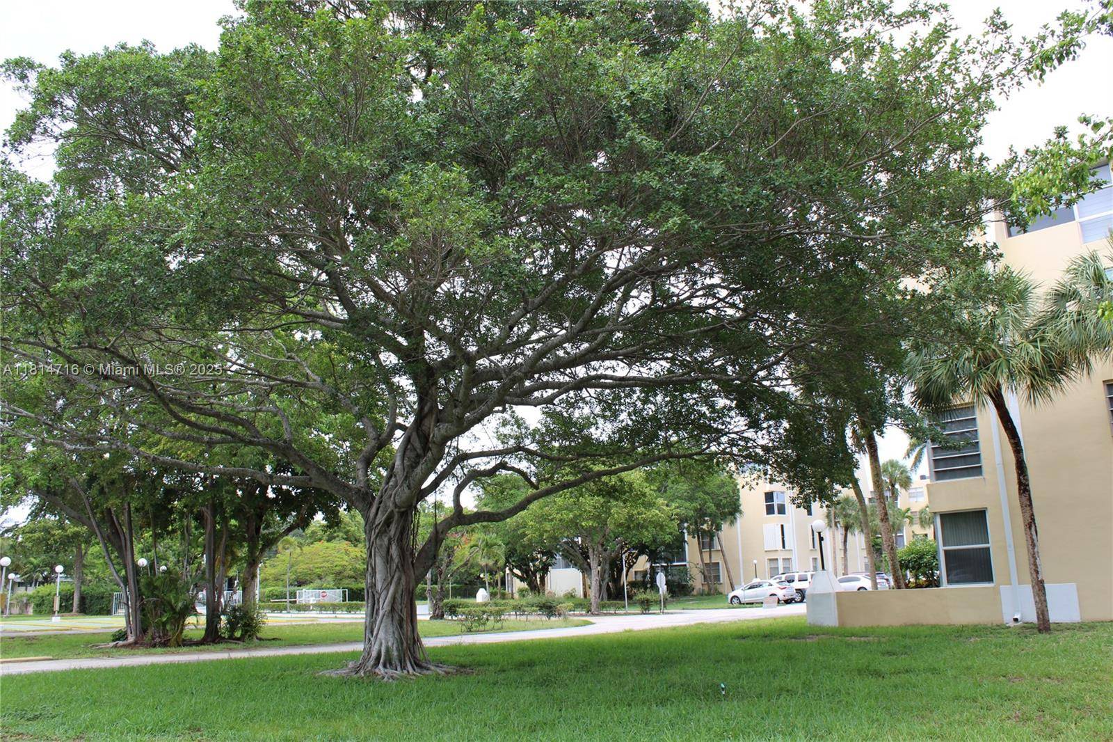 Miami, FL 33179,920 NE 199th St #2S Apt 217