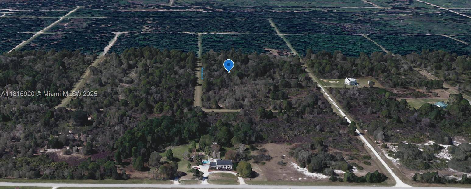 Avon Park, FL 33825,2844 W TWILLEY
