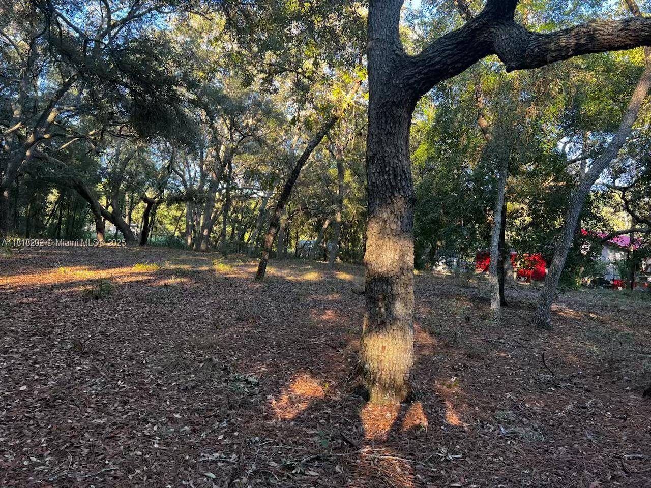 Other, FL 32656,6360 Cascade Dr