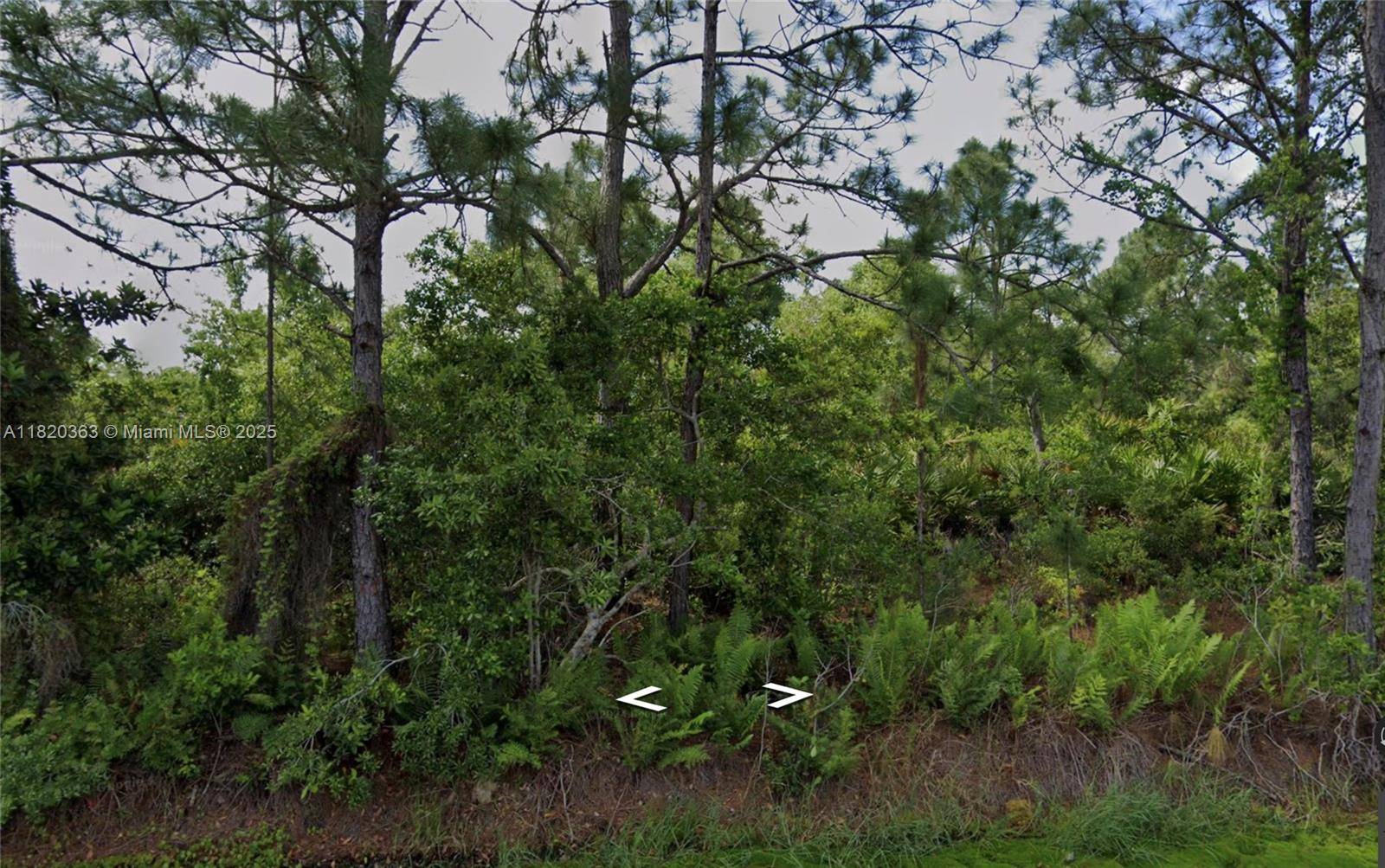 Lake Placid, FL 33852,1008 NW Concorde Pkwy