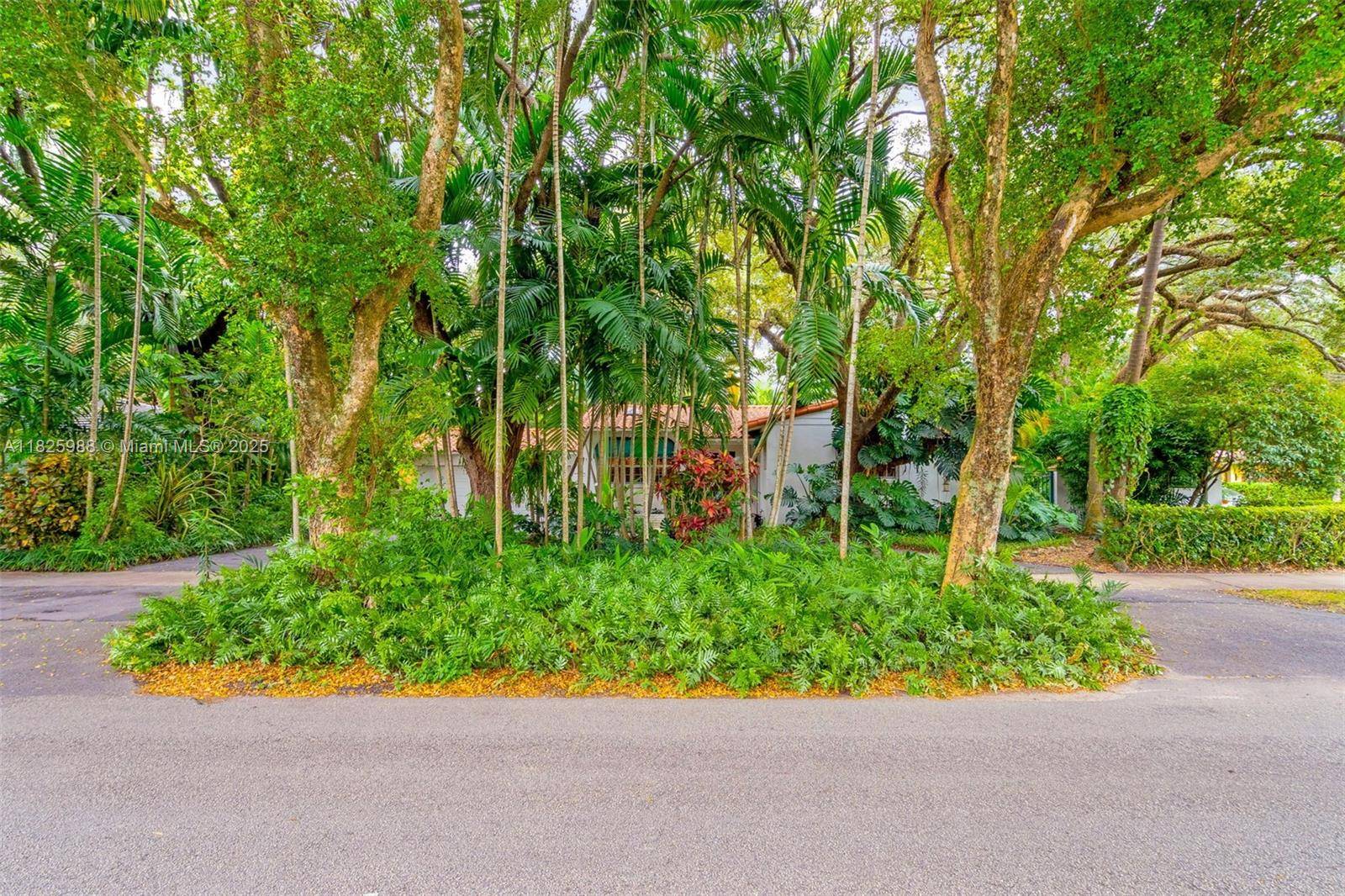 Coral Gables, FL 33146,5111 Maggiore St
