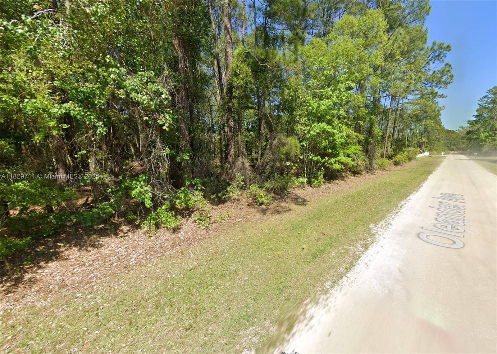 Other City - In The State Of Florida, FL 32110,4132 OLEANDER AVE