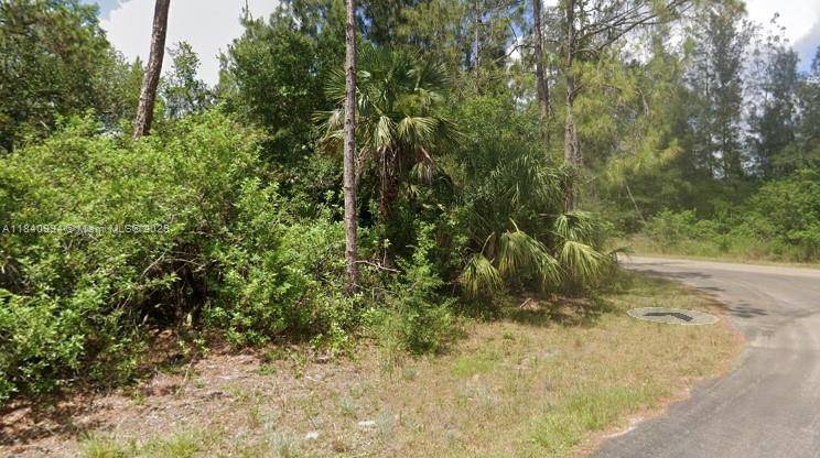 Lehigh Acres, FL 33972,300 Ludlow Ave