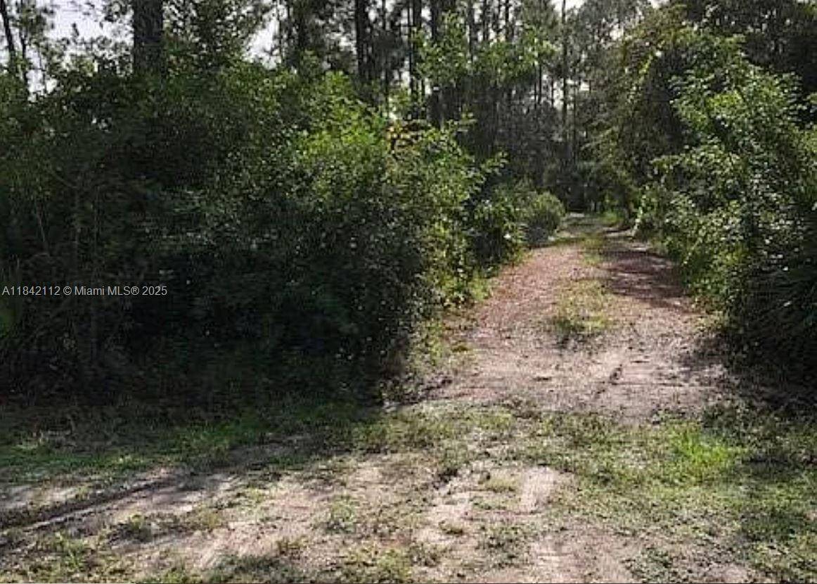 Lehigh Acres, FL 33972,1714 Lake Ave