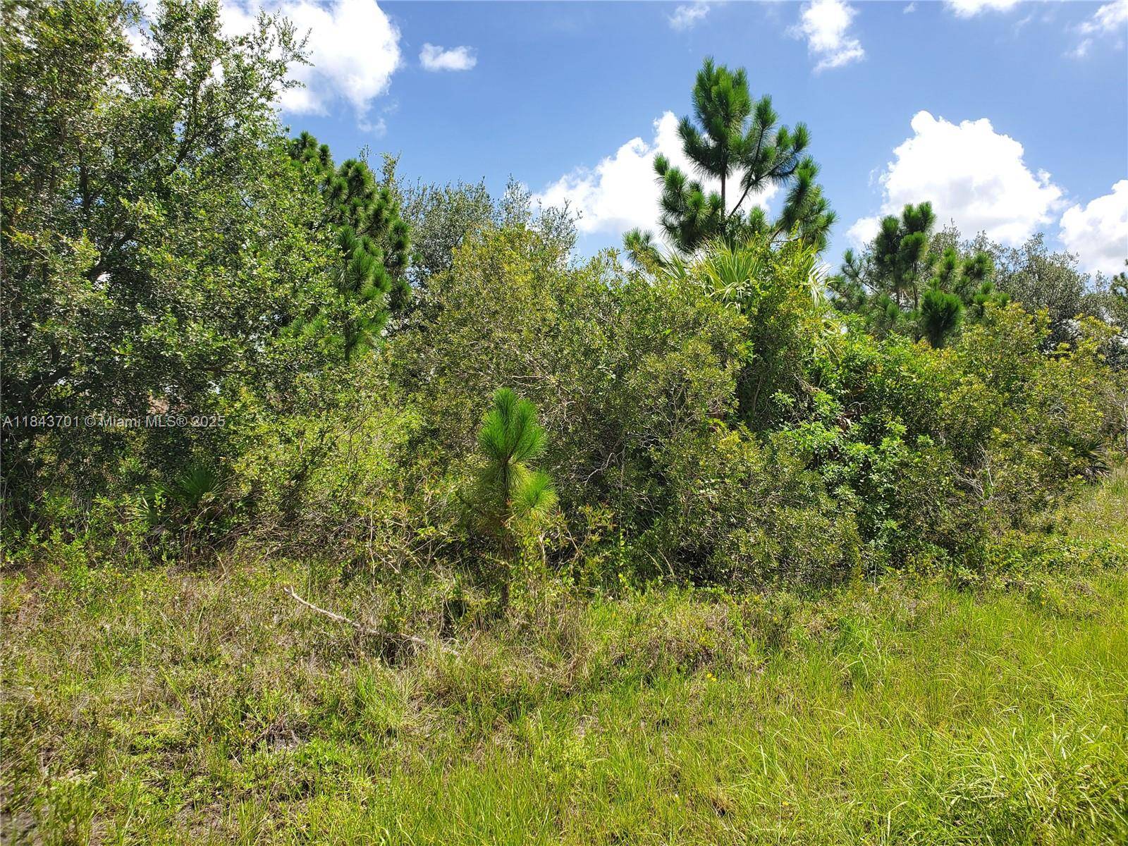 Lehigh Acres, FL 33971,2706 55 ST W