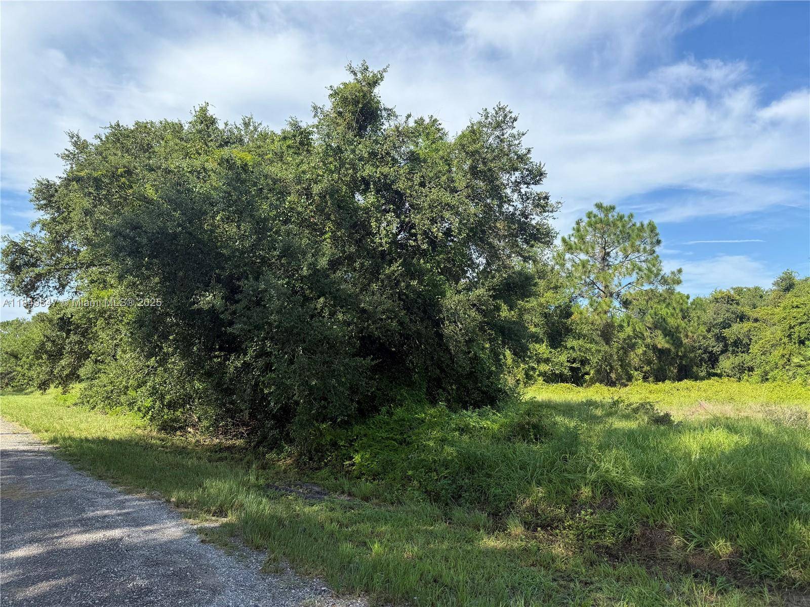 Clewiston, FL 33440,370 N PALOMINO ST