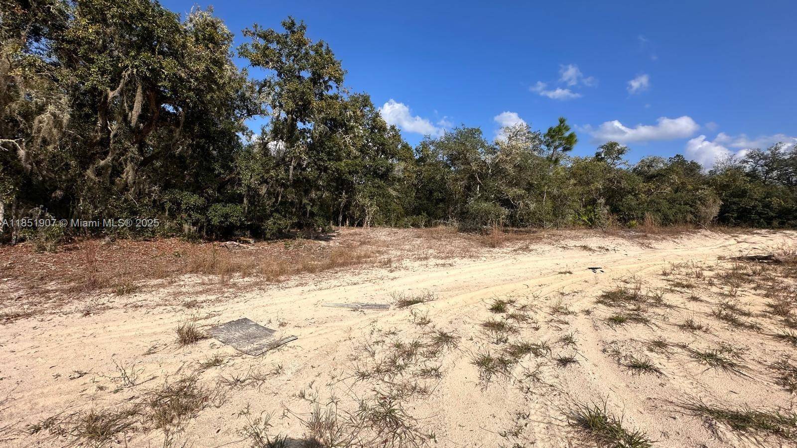 Other, FL 33597,0 COLDROCK DR