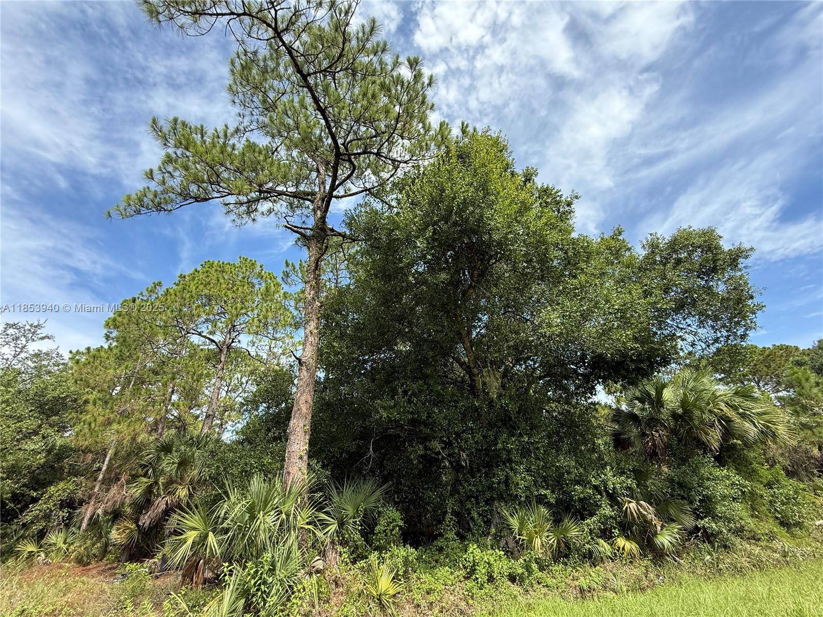 Clewiston, FL 33440,250 S ROMERO ST