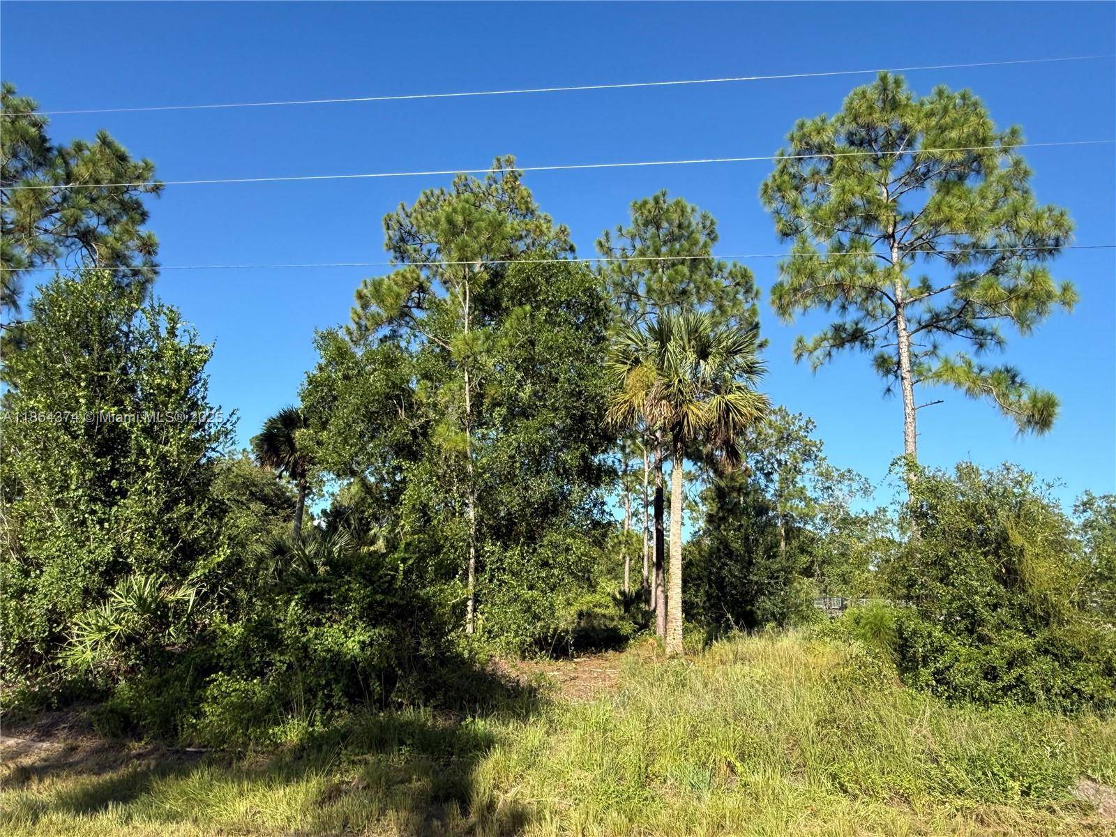 Clewiston, FL 33440,635 S TREBOL ST