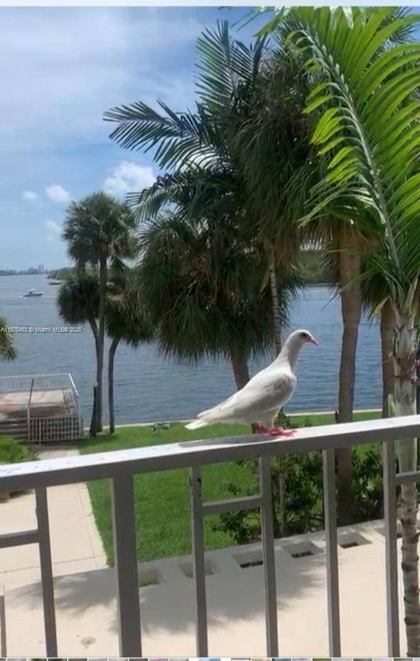 Sunny Isles Beach, FL 33160,500 Bayview Dr #230