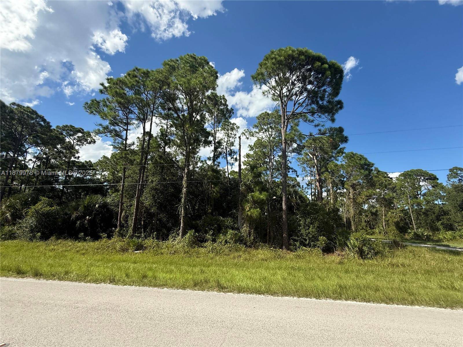 Clewiston, FL 33440,545 APPALOOSA AVE