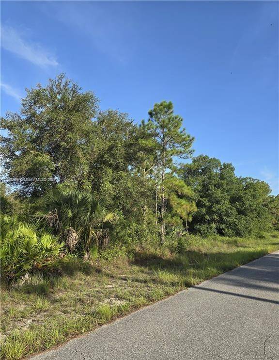 Lehigh Acres, FL 33972,1304 Irving Ave