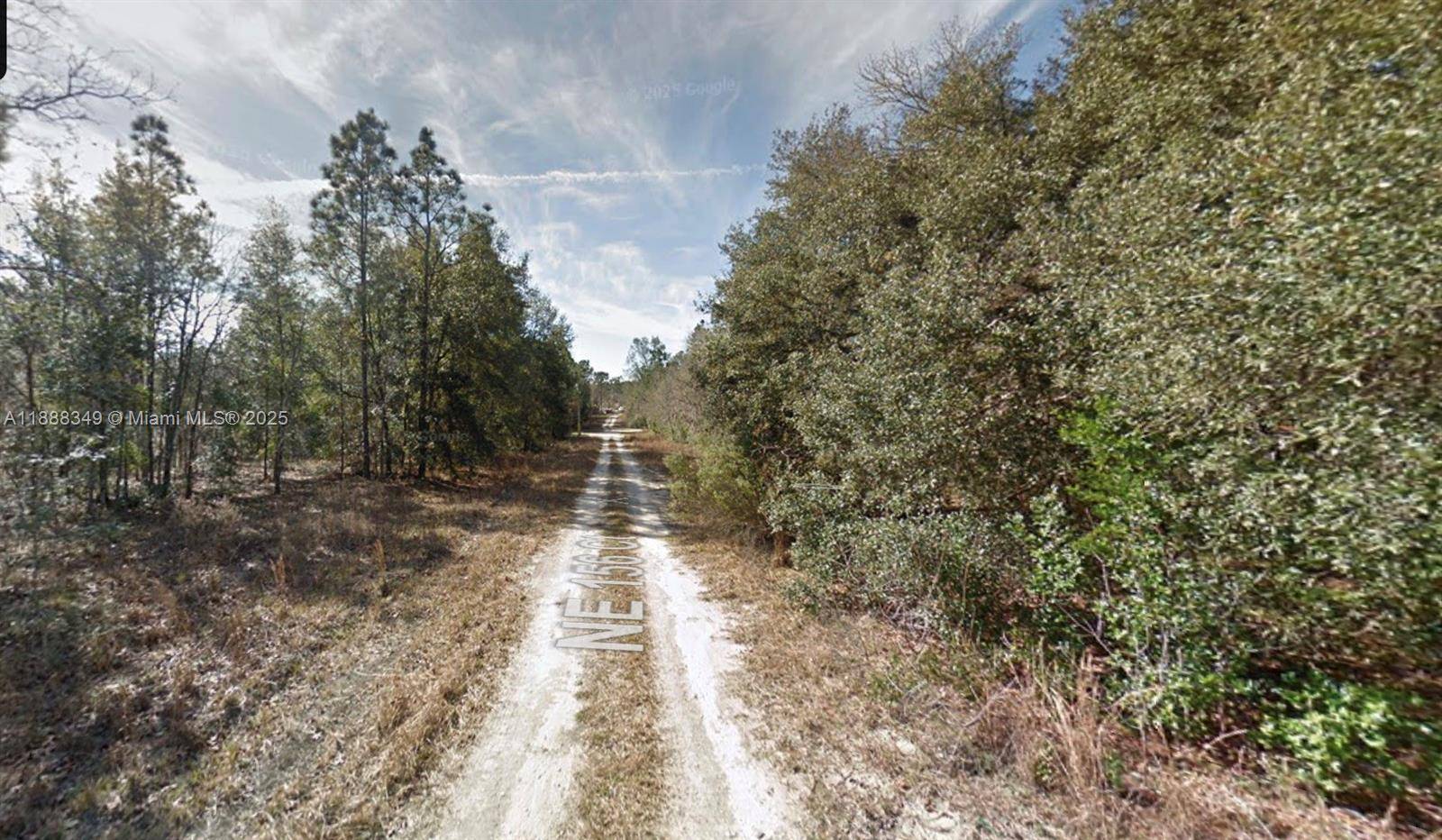Williston, FL 32696,Lot 4 NE 156th Ct