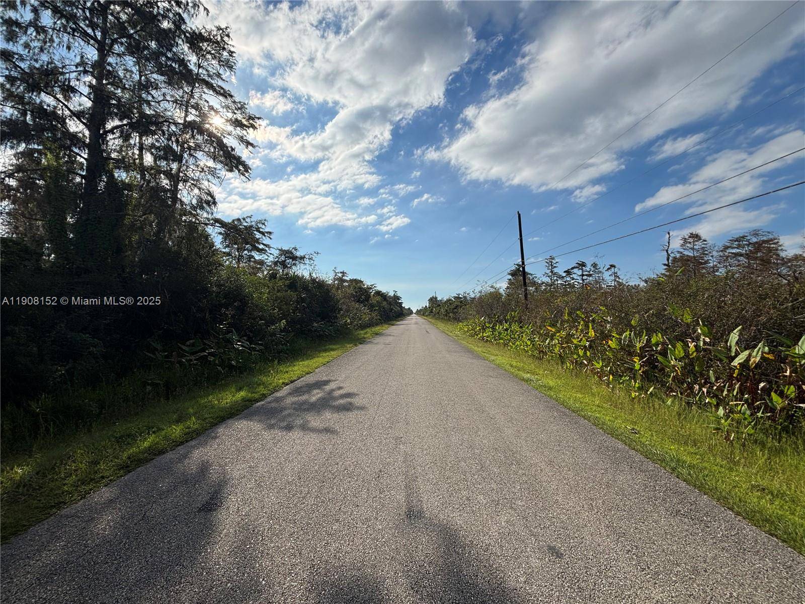 Other City - In The State Of Florida, FL 34120,xxxx 37th Ave NE